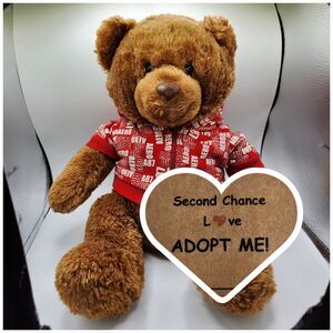 Aeropostale Teddy Bear Plush Brown Stuffed Animal with Red Zip Hoodie AERO 12"